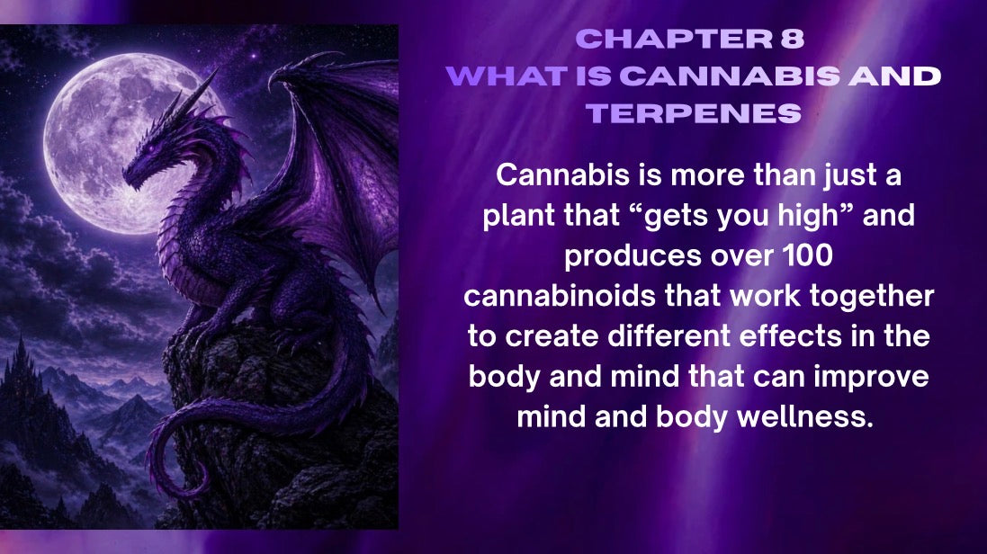 Energy Vessel | Empower Vibez
